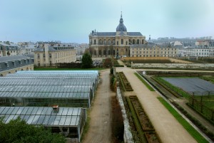 7_Les-Serres-Et-Collections-Le-Potager-Du-Roi