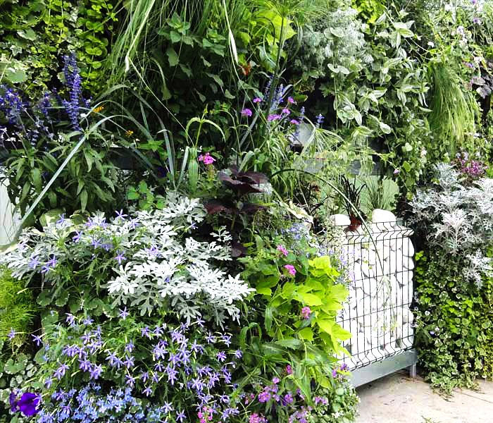 8-Mur-végétal-Jardin