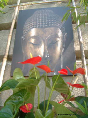 Printemps-Sur-Berges-Le-Jardin-FengShui