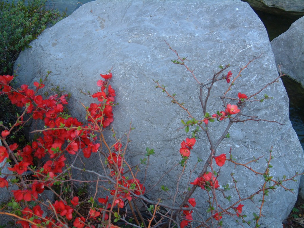 Espaces Naturels
