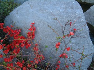 Espaces Naturels