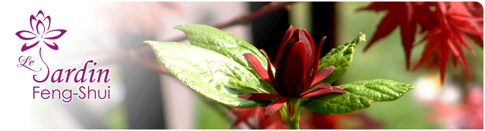 Erable Jardin Feng-Shui, Nathalie Normand