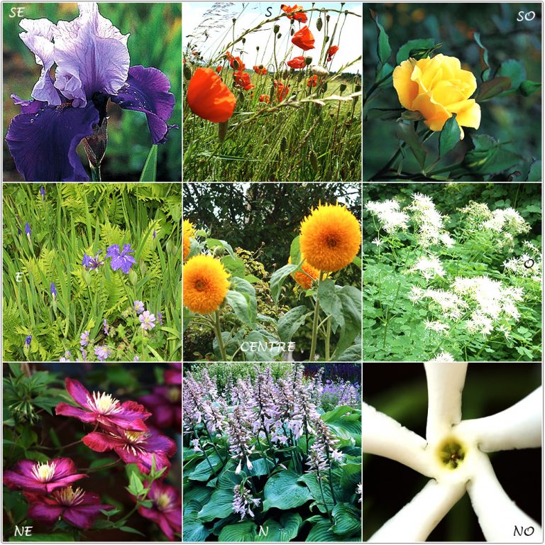 Pakua Jardin Feng-Shui