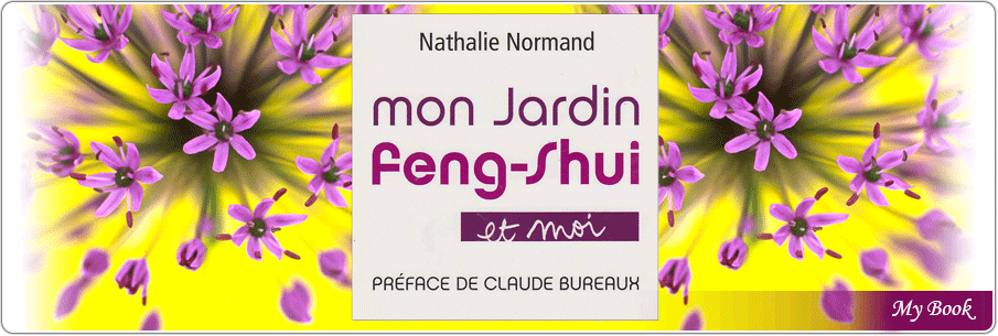Feng-Shui Book