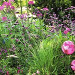 Composition Feu Jardin