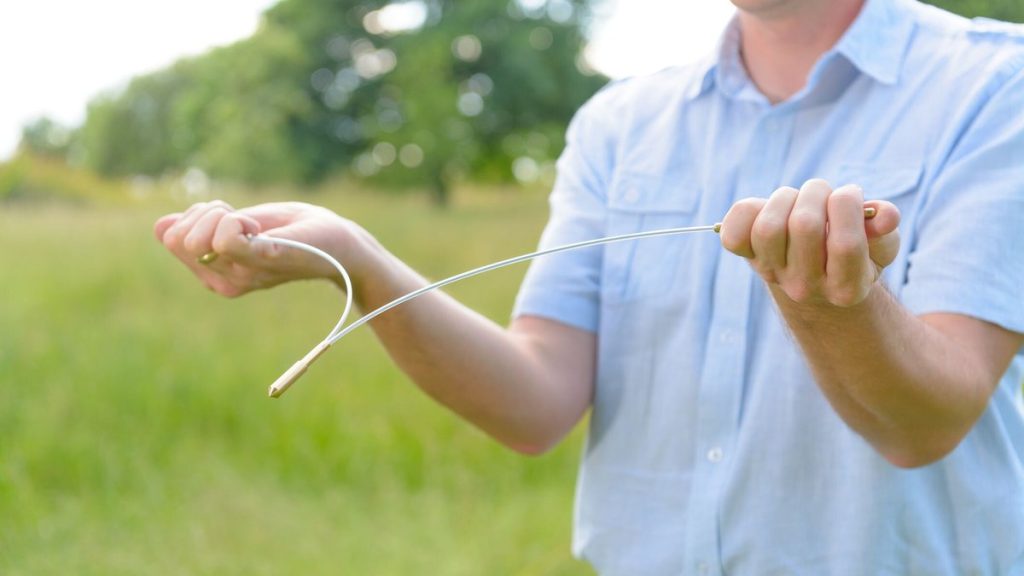 Influences magnétiques de la terre sur les êtres vivants, que ce soit l'homme, l'animal ou le végétal