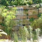Cascade eau Jardin