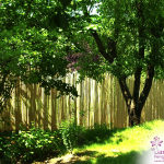 Cloture Bambou Jardin (3)