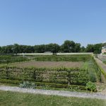 Le Potager du Roi - Versailles (2)