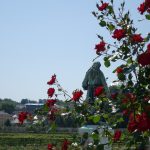 Le Potager du Roi - Versailles (29)