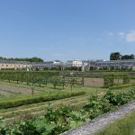 Le Potager du Roi - Versailles (3)