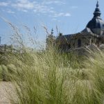 Le Potager du Roi - Versailles (5)