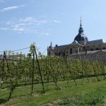 Le Potager du Roi - Versailles (6)