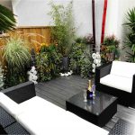 Mur végétal Jardin