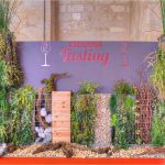 Mur végétal Jardin (3)