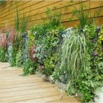 Mur végétal Jardin (5)