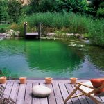 Piscine Bioteich Jardin (3)