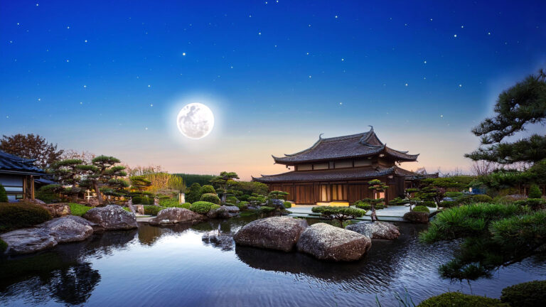 Jardiner avec les phases de la lune