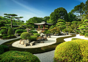 Jardin Japonais