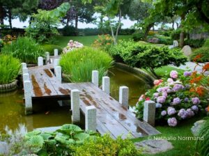 Jardin Zen Feng-Shui