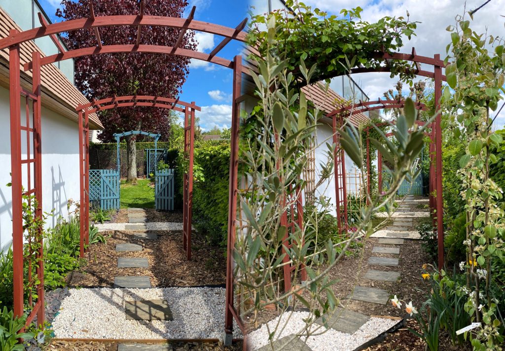 Fengshui à domicile