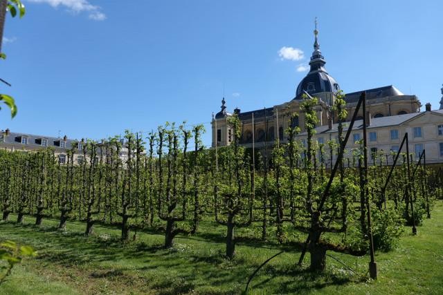 Le Potager du Roi de Versailles